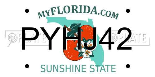 PYHJ42 Florida License Plate