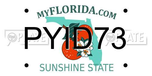 PYID73 Florida License Plate