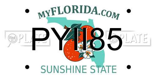 PYII85 Florida License Plate