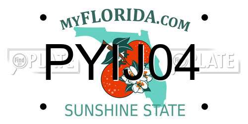 PYIJ04 Florida License Plate