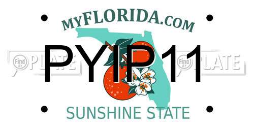 PYIP11 Florida License Plate