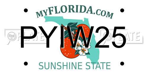PYIW25 Florida License Plate