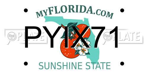 PYIX71 Florida License Plate