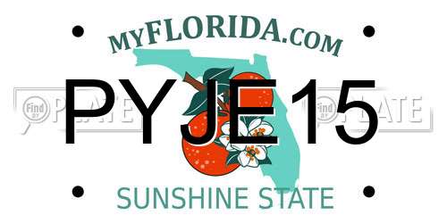 PYJE15 Florida License Plate