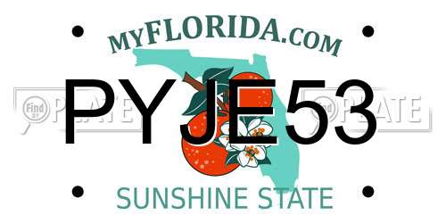 PYJE53 Florida License Plate
