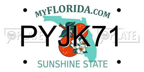 PYJK71 Florida License Plate