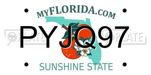 PYJQ97 Florida License Plate
