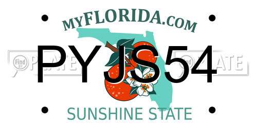 PYJS54 Florida License Plate