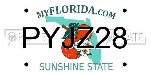 PYJZ28 Florida License Plate
