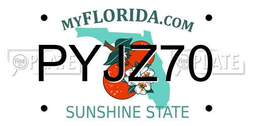 PYJZ70 Florida License Plate