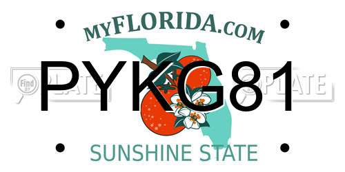 PYKG81 Florida License Plate