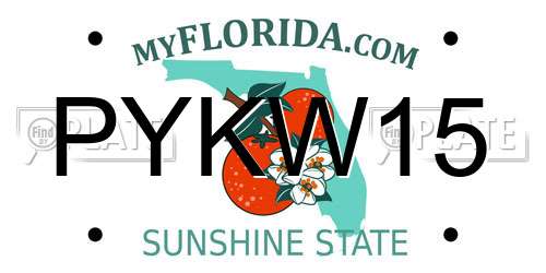 PYKW15 Florida License Plate