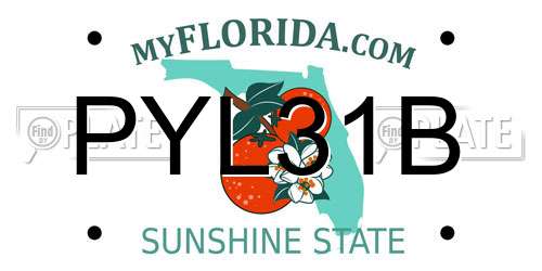 PYL31B Florida License Plate