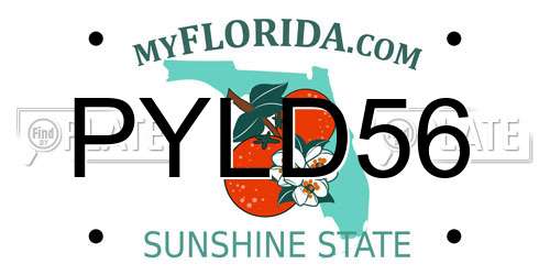 PYLD56 Florida License Plate