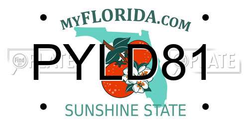 PYLD81 Florida License Plate