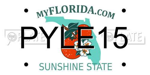 PYLE15 Florida License Plate