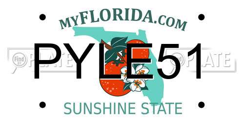 PYLE51 Florida License Plate