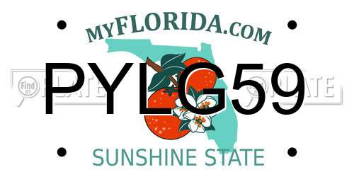 PYLG59 Florida License Plate