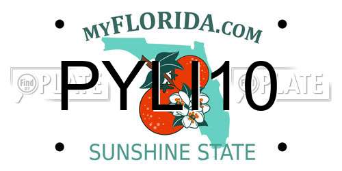 PYLI10 Florida License Plate