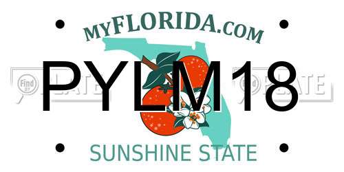 PYLM18 Florida License Plate