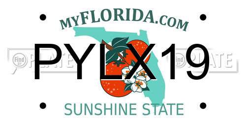 PYLX19 Florida License Plate