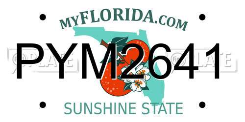 PYM2641 Florida License Plate