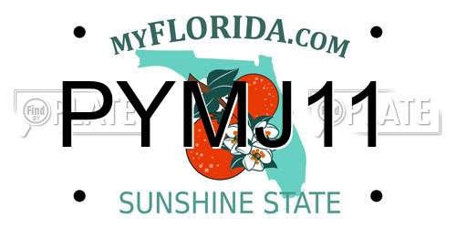 PYMJ11 Florida License Plate