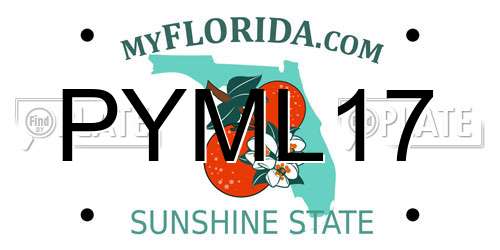 PYML17 Florida License Plate