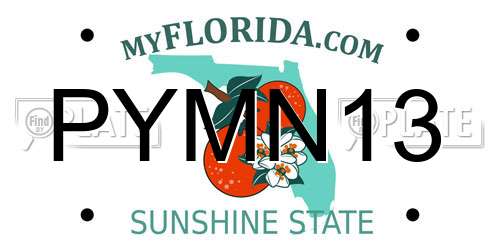PYMN13 Florida License Plate