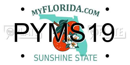 PYMS19 Florida License Plate