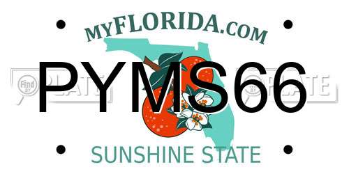 PYMS66 Florida License Plate