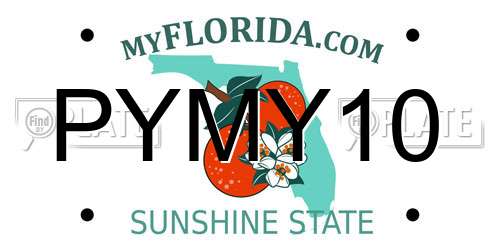 PYMY10 Florida License Plate