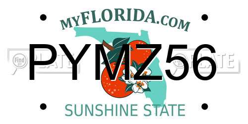 PYMZ56 Florida License Plate
