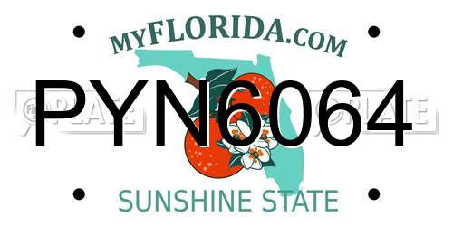PYN6064 Florida License Plate