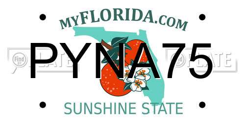 PYNA75 Florida License Plate