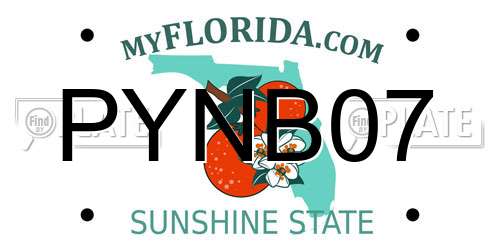 PYNB07 Florida License Plate
