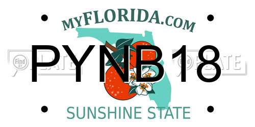 PYNB18 Florida License Plate