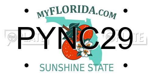 PYNC29 Florida License Plate