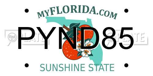PYND85 Florida License Plate