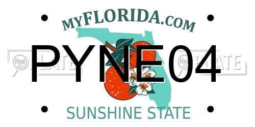 PYNE04 Florida License Plate
