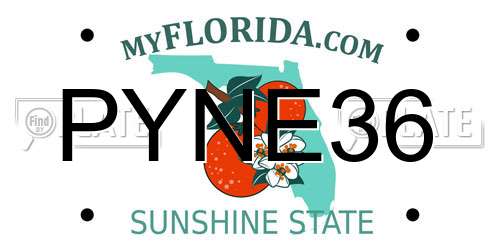 PYNE36 Florida License Plate