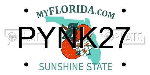 PYNK27 Florida License Plate