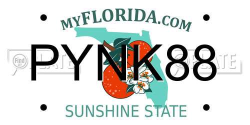 PYNK88 Florida License Plate