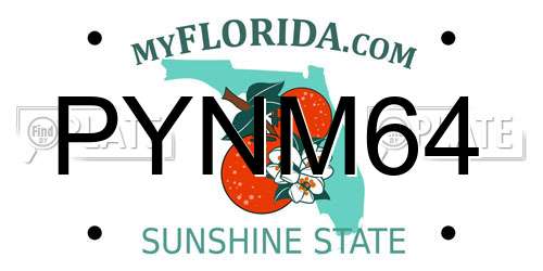 PYNM64 Florida License Plate