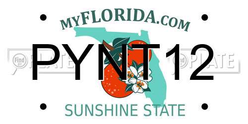 PYNT12 Florida License Plate