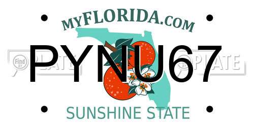 PYNU67 Florida License Plate