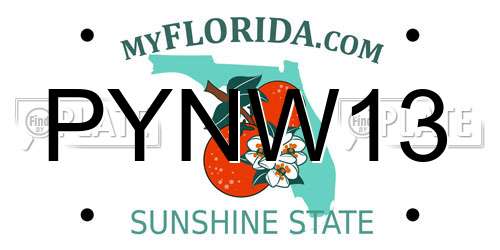 PYNW13 Florida License Plate
