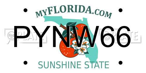 PYNW66 Florida License Plate
