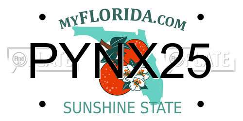 PYNX25 Florida License Plate