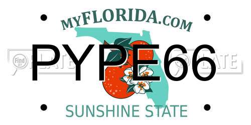 PYPE66 Florida License Plate
